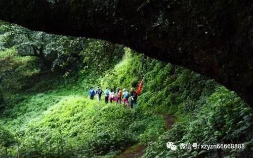 逃出猫头鹰屋